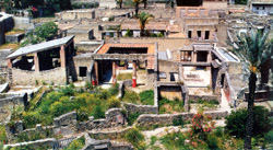 Stabia, Pompeii and Herculaneum tour - Overview of Herculaneum