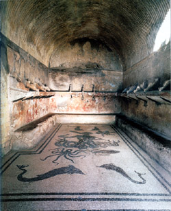 Stabia, Pompeii and Herculaneum tour - Thermal Baths in Herculaneum