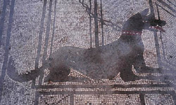 Mosaico con cane legato