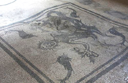 Visite guidée à Pompéi et Herculanum -  Mosaïque antique dans une maison á Herculanum