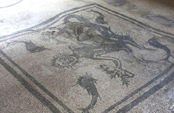 Ausflug Pompeji Herculaneum Vesuv  Alte Mosaik in einem Haus in Herculaneum