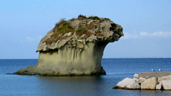 Fameux champignon de Lacco Ameno à Ischia