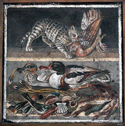 Mosaico con gatto e anatre dalla Casa del Fauno a Pompei