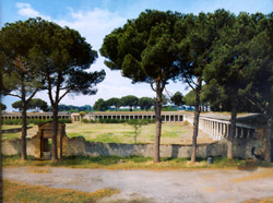 Le Grande Palestre  Pompi