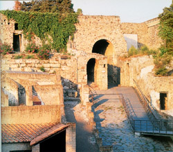 Naples and Pompeii tour - Porta Marina in Pompeii