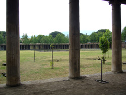 The Large Palaestra