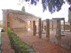 View of the Triangular Forum