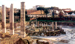 Vesuvius and Solfatara tour - Serapeum in Pozzuoli