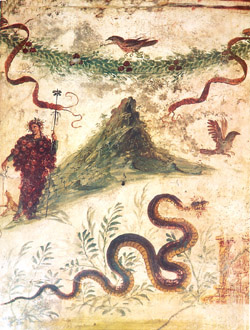 Ausflug nach Vesuv - Fresko, das in Pompei in der Casa del Centenario gefunden wurde. Es wird Bacchus mit dem Hintergrund des Vesuvs von Westen her gesehen dargestellt. So muß der Vesuv vor dem Ausbruch im Jahre 79 n.Chr. ausgesehen haben. Seine Hänge waren mit Weinreben bedeckt