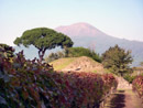 Gay tours - Pompeii tour and visit of Mastroberardino wine cellar (with explanation in English)